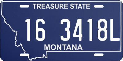 MT license plate 163418L