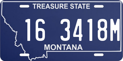 MT license plate 163418M