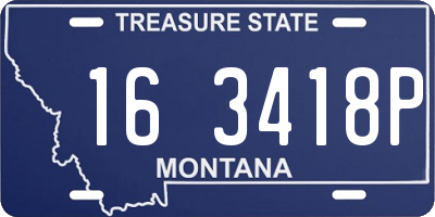 MT license plate 163418P