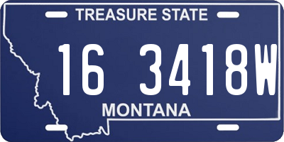 MT license plate 163418W