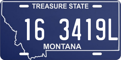 MT license plate 163419L
