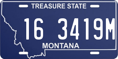 MT license plate 163419M