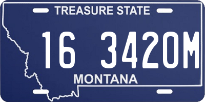 MT license plate 163420M