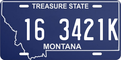 MT license plate 163421K