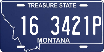 MT license plate 163421P