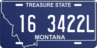 MT license plate 163422L