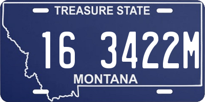 MT license plate 163422M