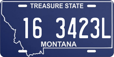 MT license plate 163423L