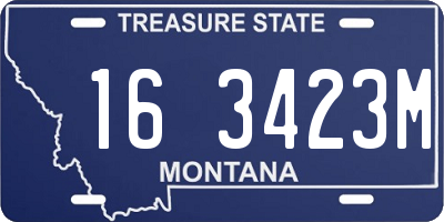 MT license plate 163423M