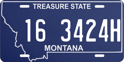 MT license plate 163424H