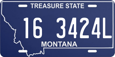 MT license plate 163424L