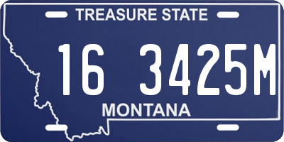 MT license plate 163425M