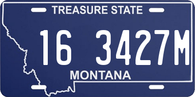MT license plate 163427M