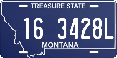 MT license plate 163428L