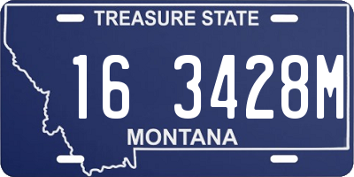 MT license plate 163428M