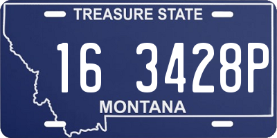 MT license plate 163428P