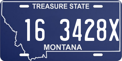 MT license plate 163428X