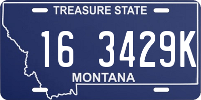MT license plate 163429K