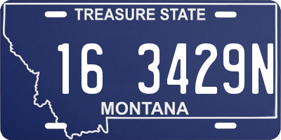 MT license plate 163429N