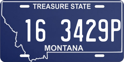 MT license plate 163429P
