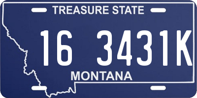 MT license plate 163431K
