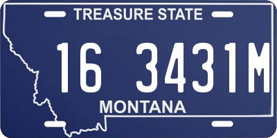 MT license plate 163431M