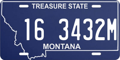 MT license plate 163432M