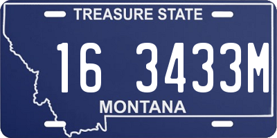 MT license plate 163433M