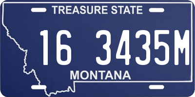 MT license plate 163435M