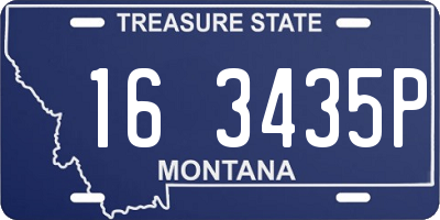 MT license plate 163435P