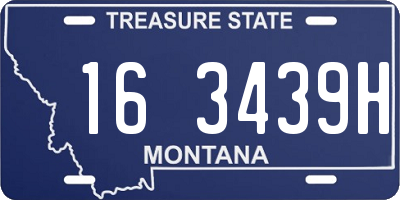 MT license plate 163439H