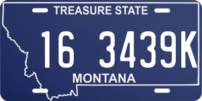 MT license plate 163439K
