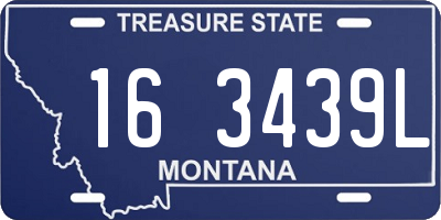 MT license plate 163439L
