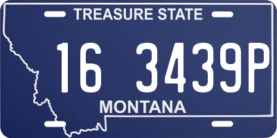MT license plate 163439P
