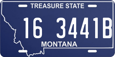 MT license plate 163441B