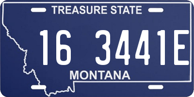 MT license plate 163441E