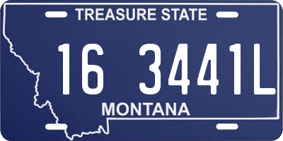 MT license plate 163441L