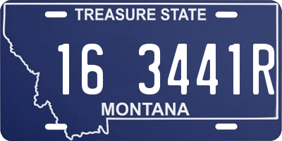 MT license plate 163441R