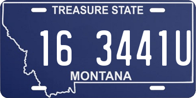 MT license plate 163441U