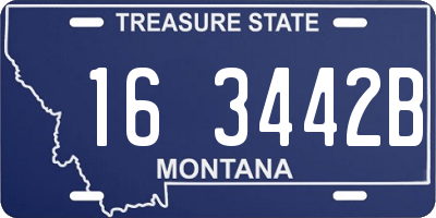 MT license plate 163442B