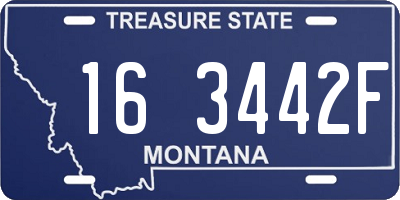 MT license plate 163442F