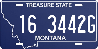 MT license plate 163442G