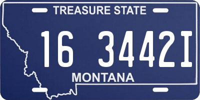 MT license plate 163442I