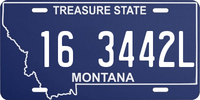 MT license plate 163442L