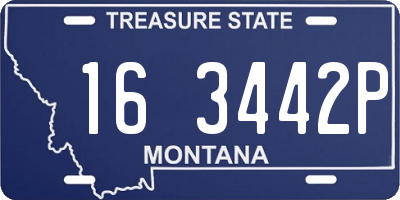 MT license plate 163442P