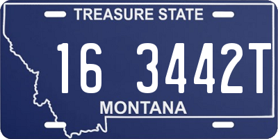 MT license plate 163442T