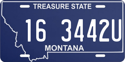 MT license plate 163442U