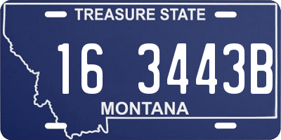 MT license plate 163443B