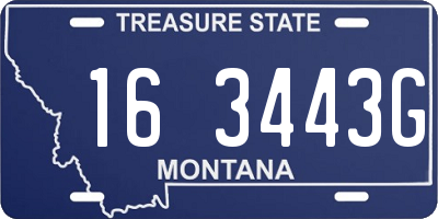 MT license plate 163443G