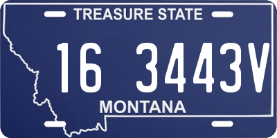 MT license plate 163443V